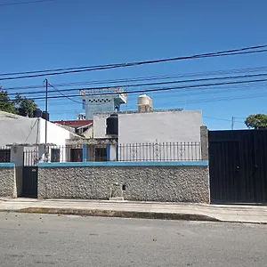 https://studio-martha.quintano-roohotels.com
